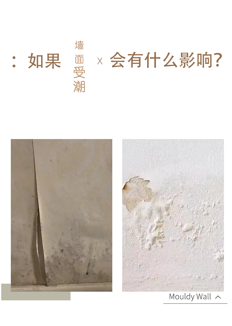 网页_05.jpg